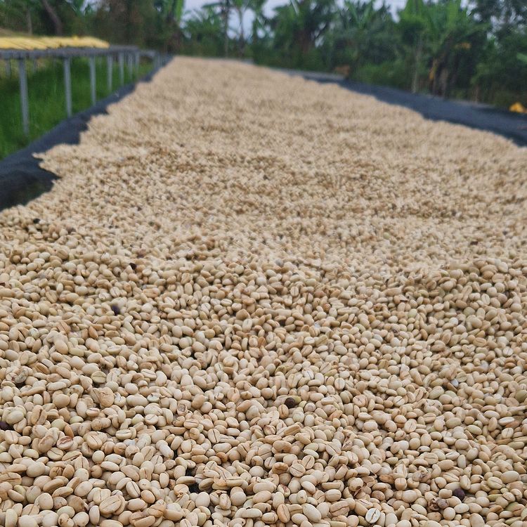 rwanda3